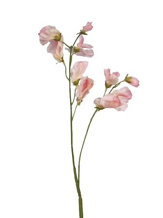 精致粉色花PNG免抠图预览图