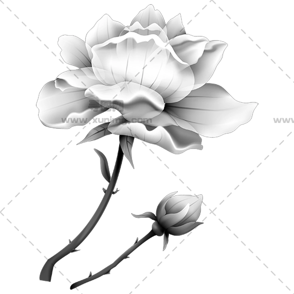 单色玫瑰花插画PNG免抠图预览图