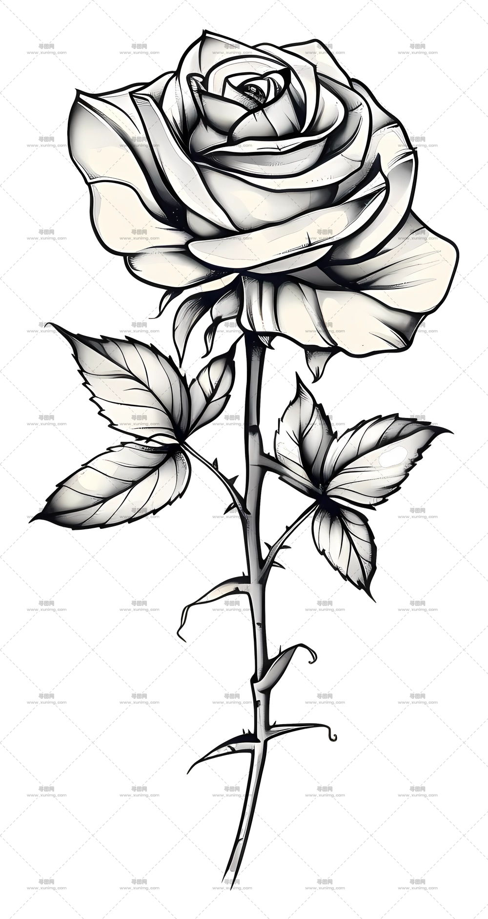 玫瑰的黑白艺术素描PNG免抠图预览图