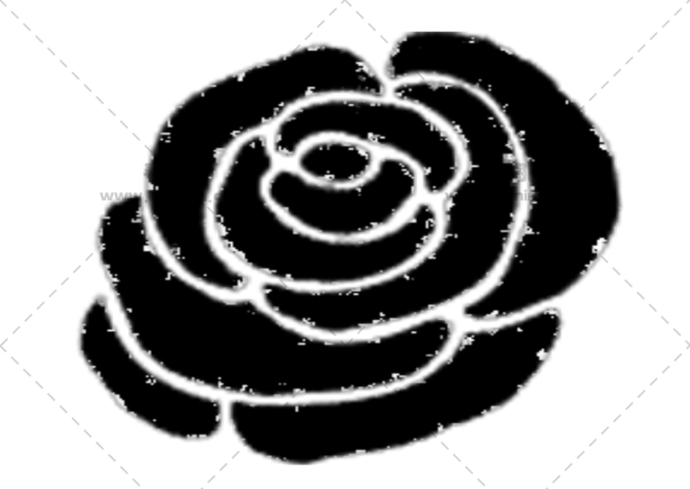 黑白玫瑰素描PNG免抠图预览图