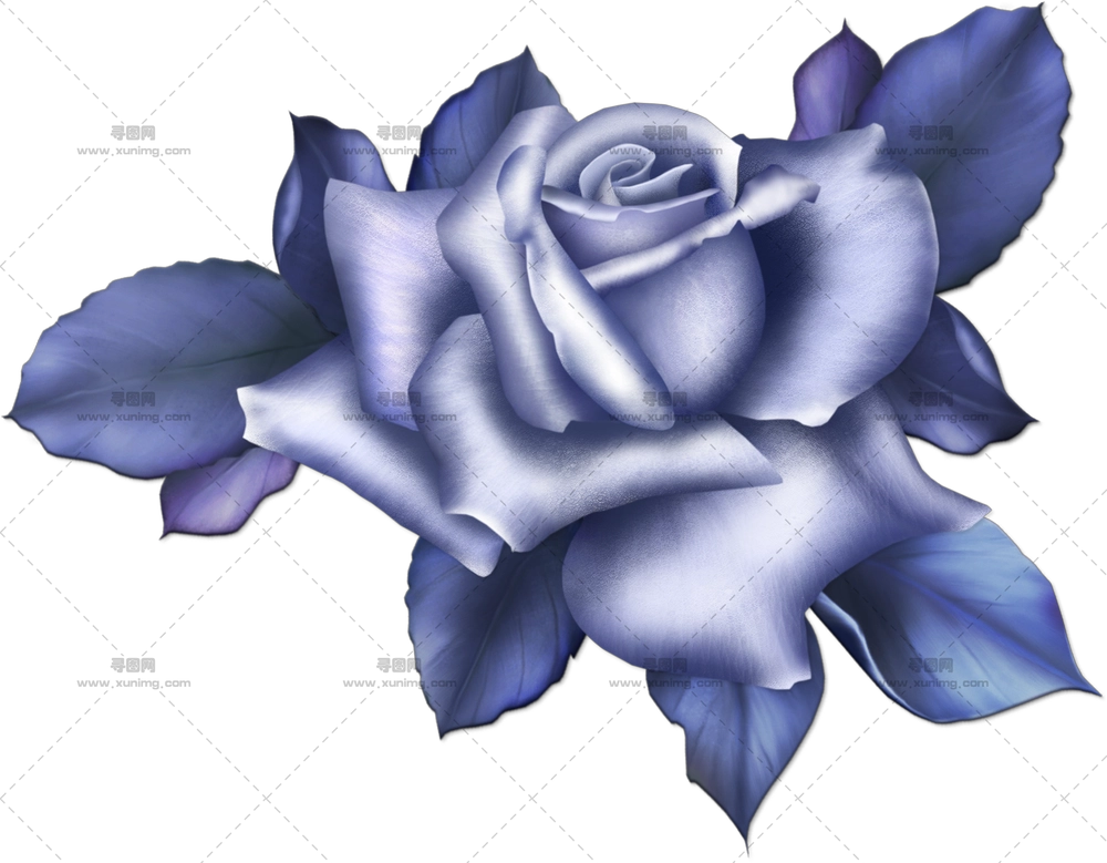 蓝玫瑰艺术插画PNG免抠图预览图 蓝玫瑰艺术插画PNG免抠图预览图
