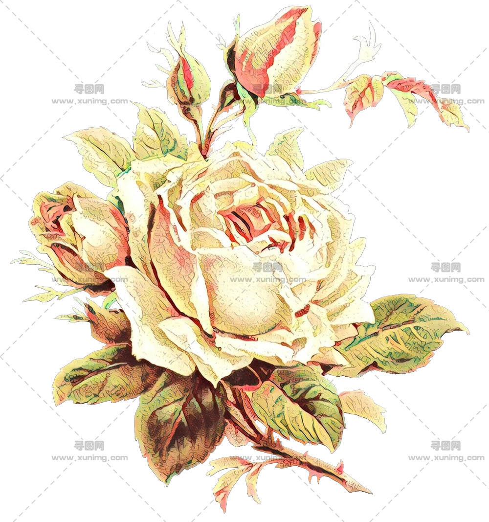 复古黄玫瑰插画PNG免抠图预览图