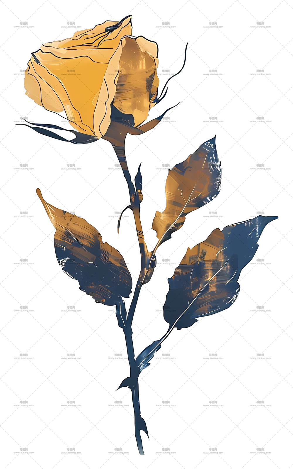 金玫瑰植物学插画PNG免抠图预览图 金玫瑰植物学插画PNG免抠图预览图