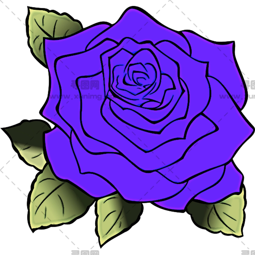 紫玫瑰花插画PNG免抠图预览图 紫玫瑰花插画PNG免抠图预览图