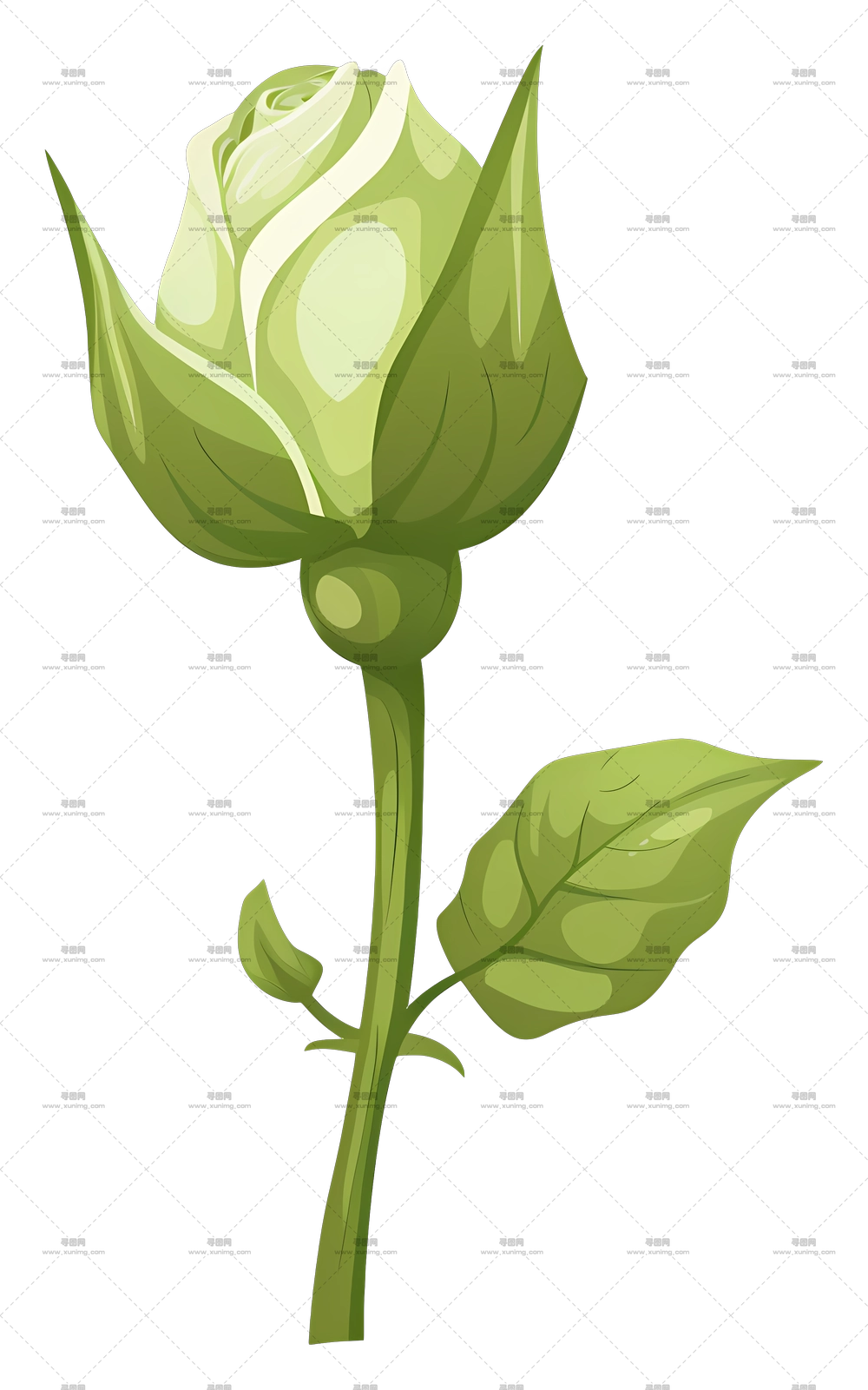 优雅绿玫瑰花蕾插画PNG免抠图预览图