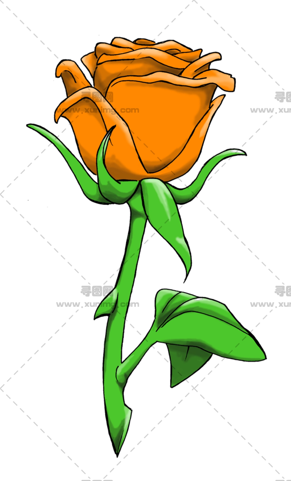 亮橙玫瑰插画PNG免抠图预览图 亮橙玫瑰插画PNG免抠图预览图