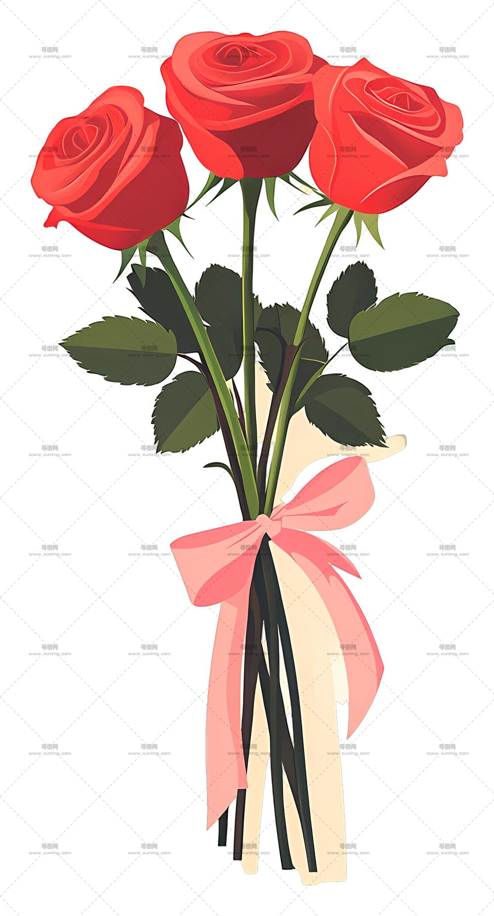 用粉丝带系的红玫瑰PNG免抠图预览图 用粉丝带系的红玫瑰PNG免抠图预览图