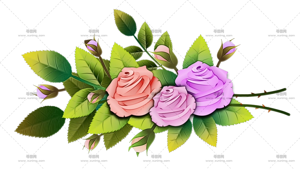 花卉玫瑰布置插画PNG免抠图预览图