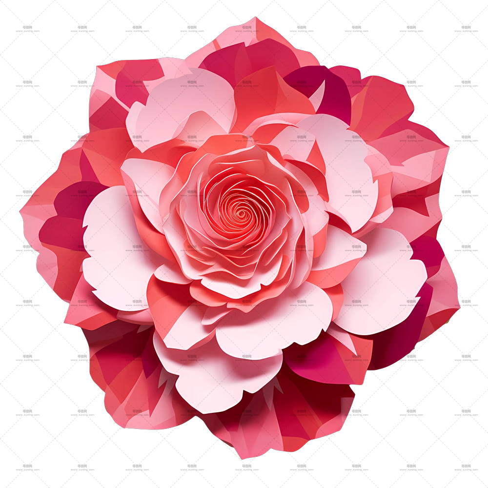 分层玫瑰插画PNG免抠图预览图 分层玫瑰插画PNG免抠图预览图