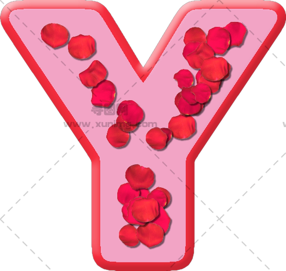 装饰性字母Y和玫瑰花瓣PNG免抠图预览图