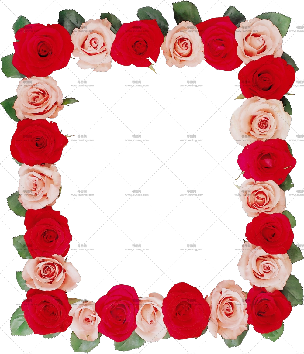 浪漫玫瑰花边框装饰透明背景PNG免抠图预览图 浪漫玫瑰花边框装饰透明背景PNG免抠图预览图