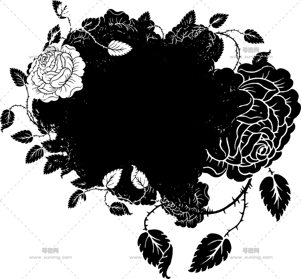 黑白玫瑰插画透明背景PNG免抠图预览图