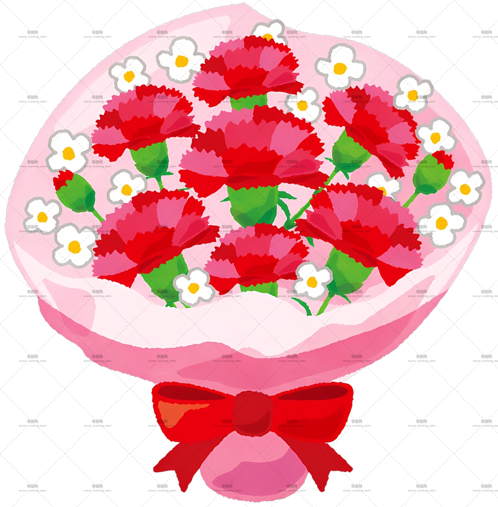 康乃馨花 – 美丽花束PNG免抠图预览图