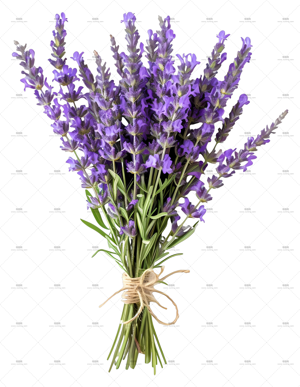 薰衣草 – 粗麻绳捆扎的田园薰衣草花束PNG免抠图预览图