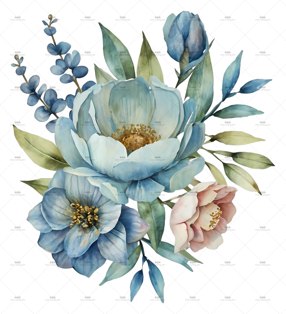 精美的水彩花卉插画PNG免抠图预览图