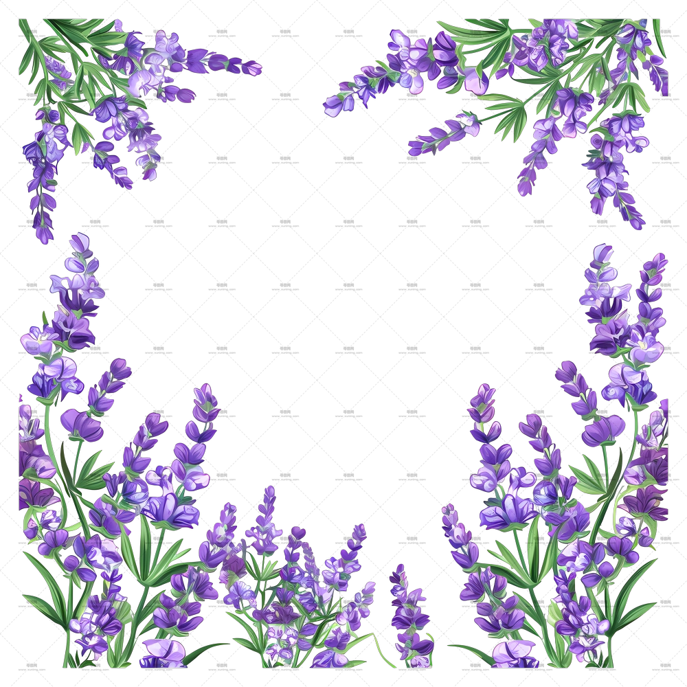 洋绣球花自然雅致框架PNG免抠图预览图 洋绣球花自然雅致框架PNG免抠图预览图