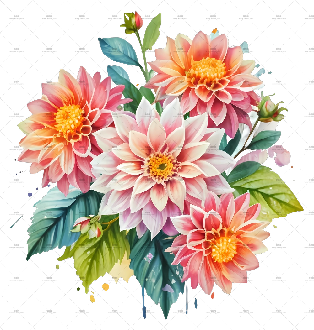 多彩大丽花装饰花束PNG免抠图预览图