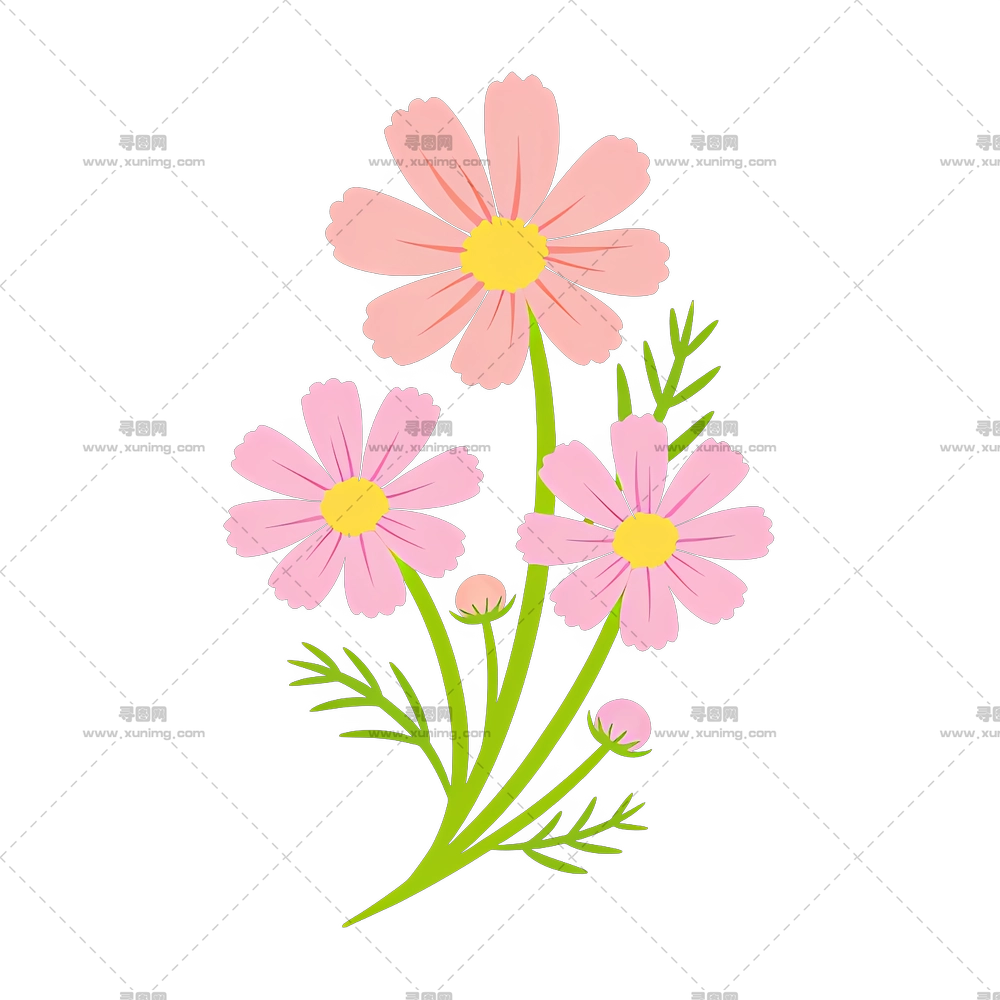 精致粉色波斯菊PNG免抠图预览图 精致粉色波斯菊PNG免抠图预览图