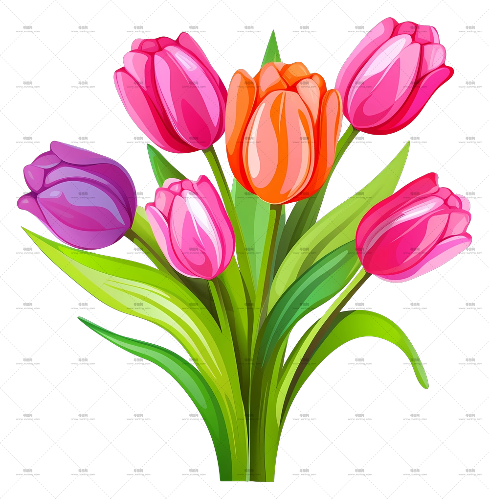 多彩郁金香花束插画PNG免抠图预览图 多彩郁金香花束插画PNG免抠图预览图