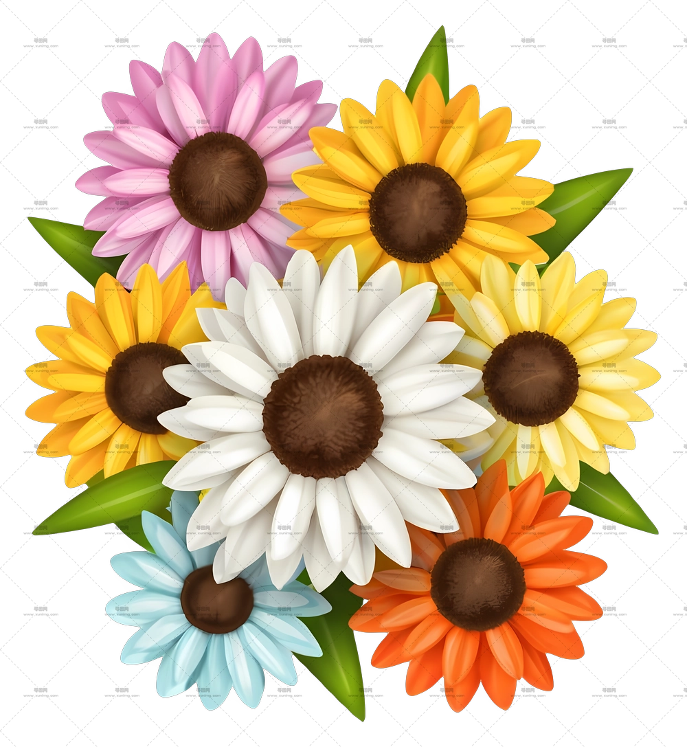 多彩雏菊花束摆设PNG免抠图预览图
