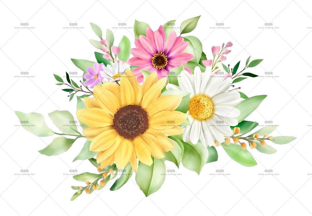 多彩花束PNG免抠图预览图