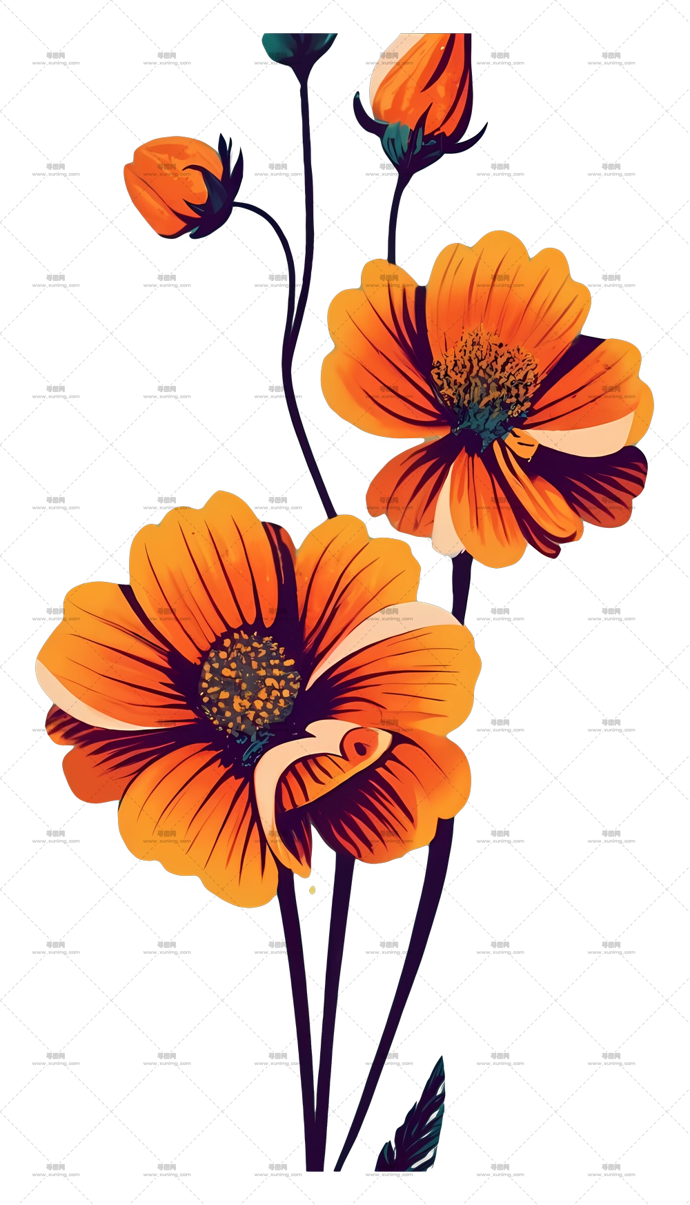 精美的橙色花朵插画PNG免抠图预览图 精美的橙色花朵插画PNG免抠图预览图