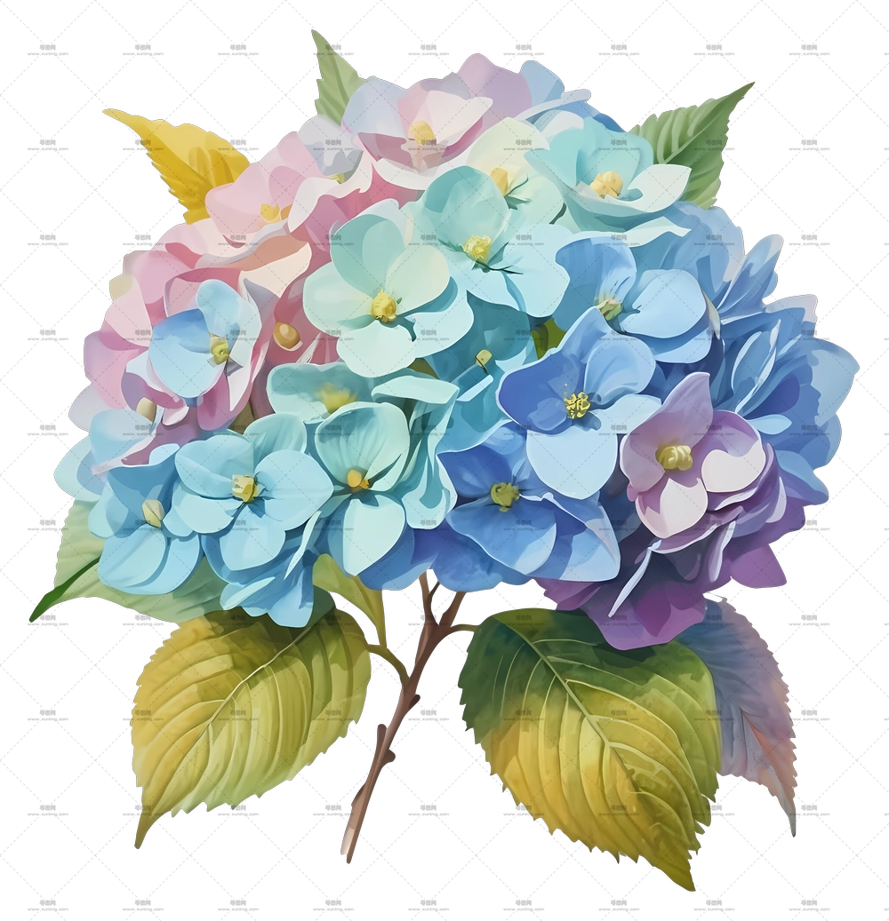 淡彩系绣球花束PNG免抠图预览图