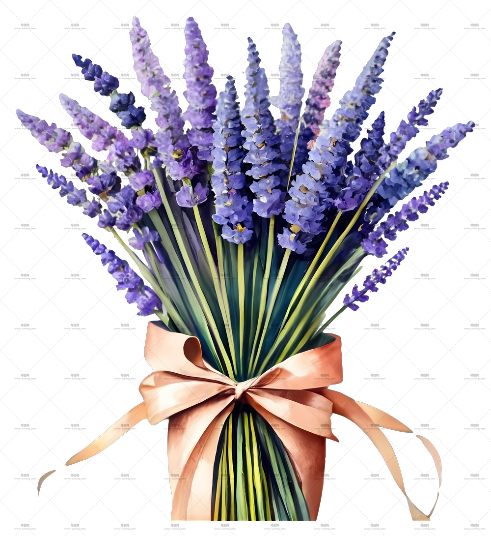 紫罗兰花束PNG免抠图预览图 紫罗兰花束PNG免抠图预览图
