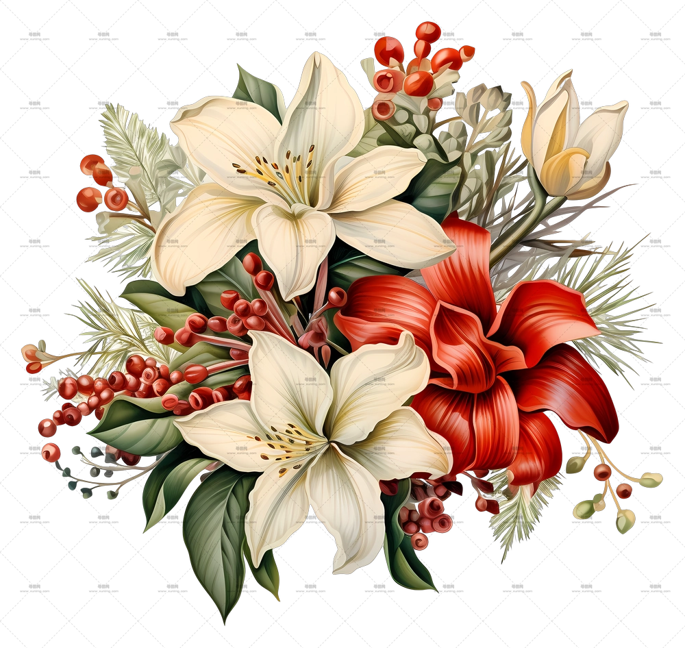 圣诞节红白花卉花束PNG免抠图预览图