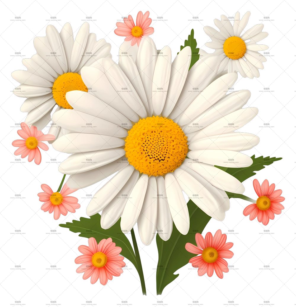 雏菊和花朵花束插画PNG免抠图预览图
