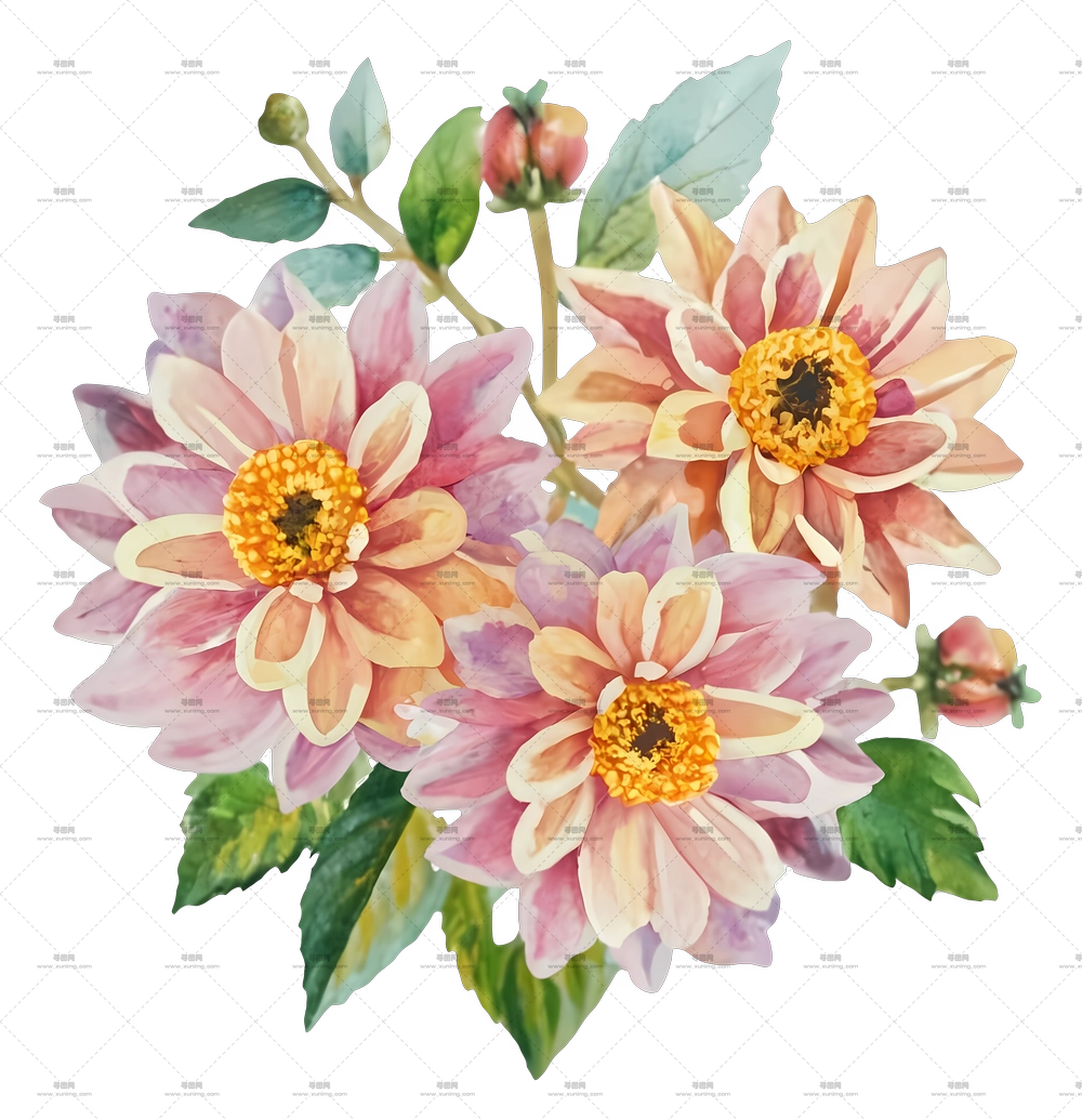 粉色和黄色水彩花朵插画PNG免抠图预览图