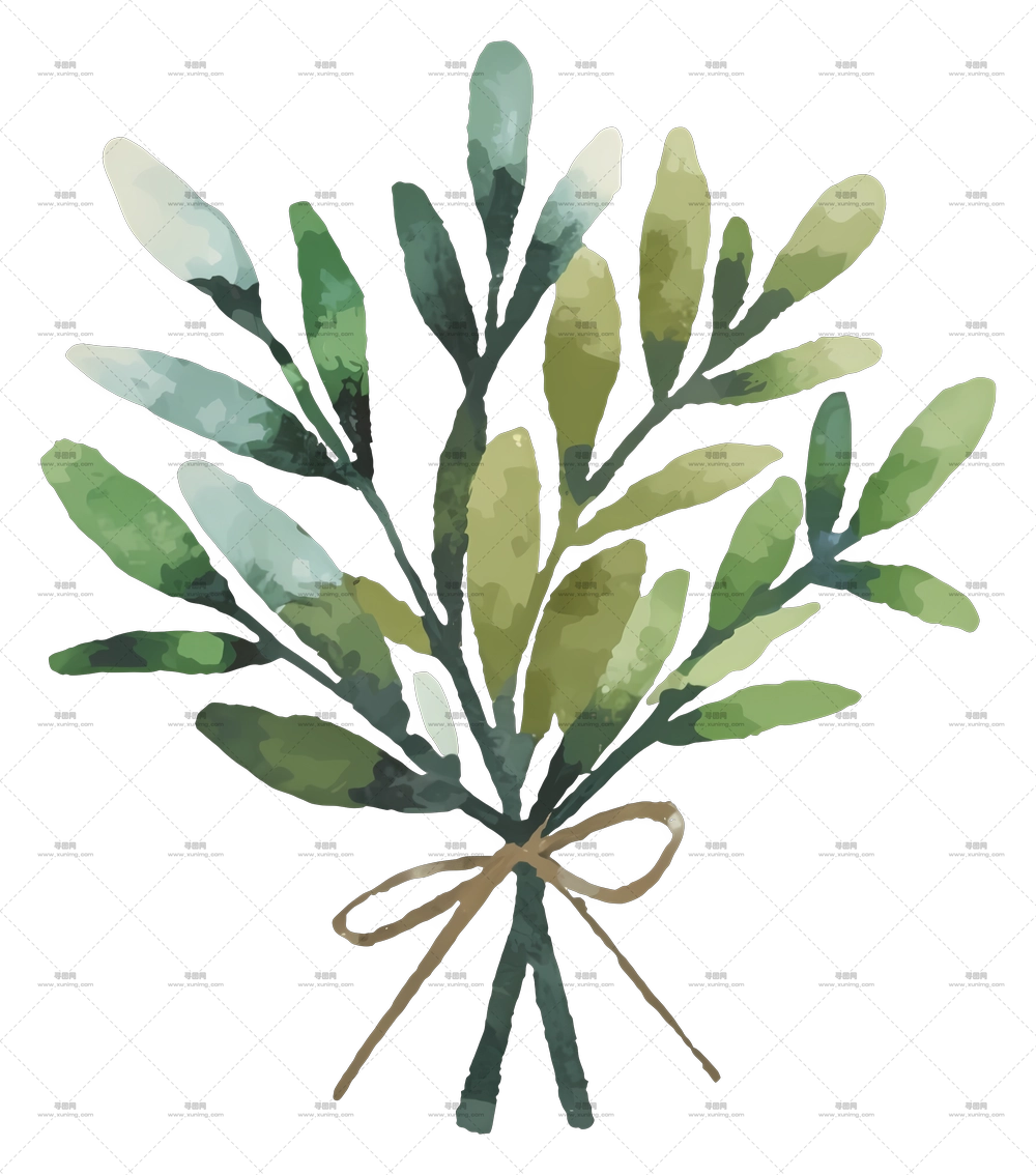 绿色叶枝PNG免抠图预览图