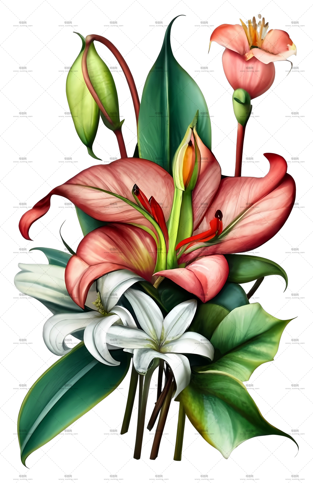 带百合的逼真花朵花束PNG免抠图预览图