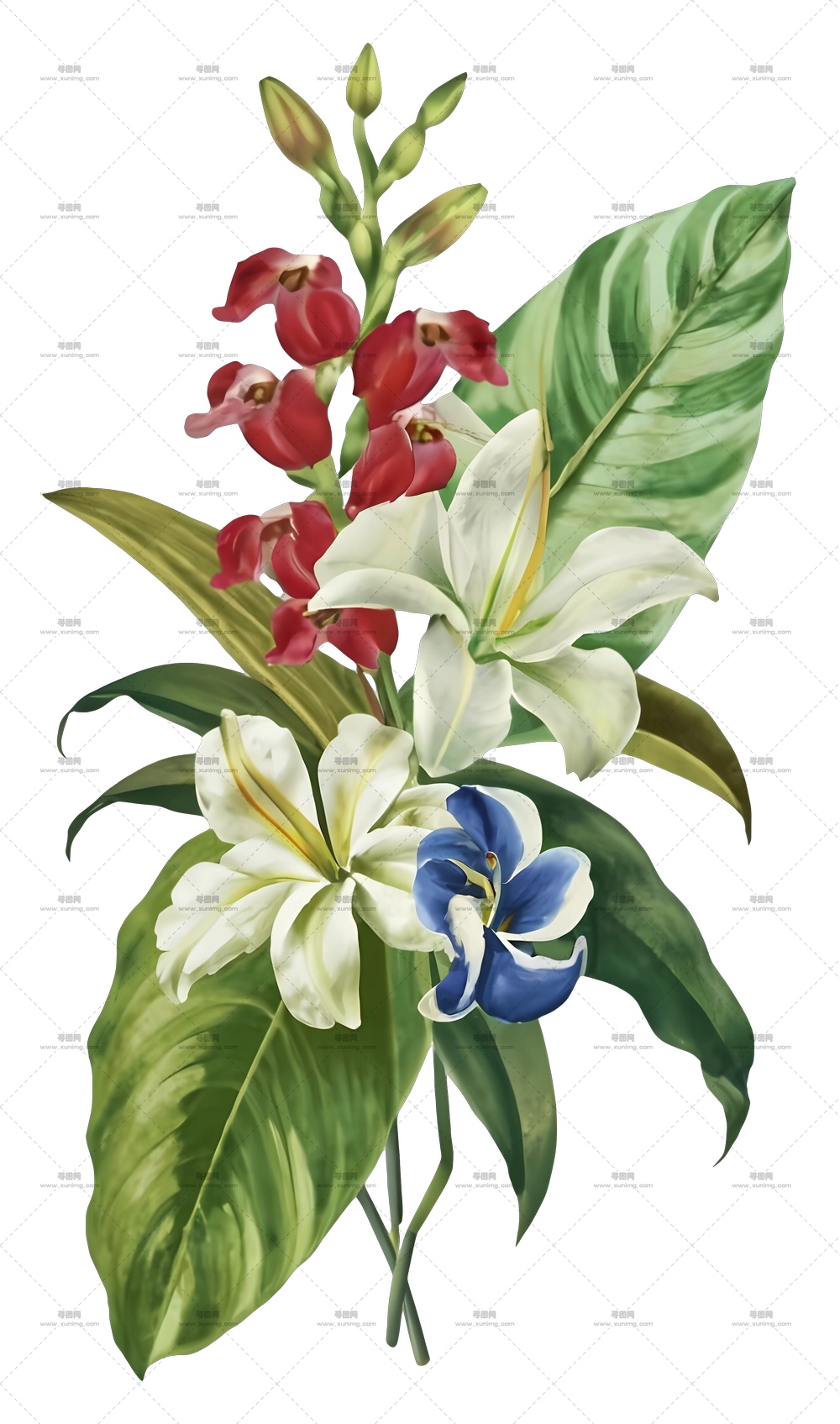 热带花卉花束插画PNG免抠图预览图