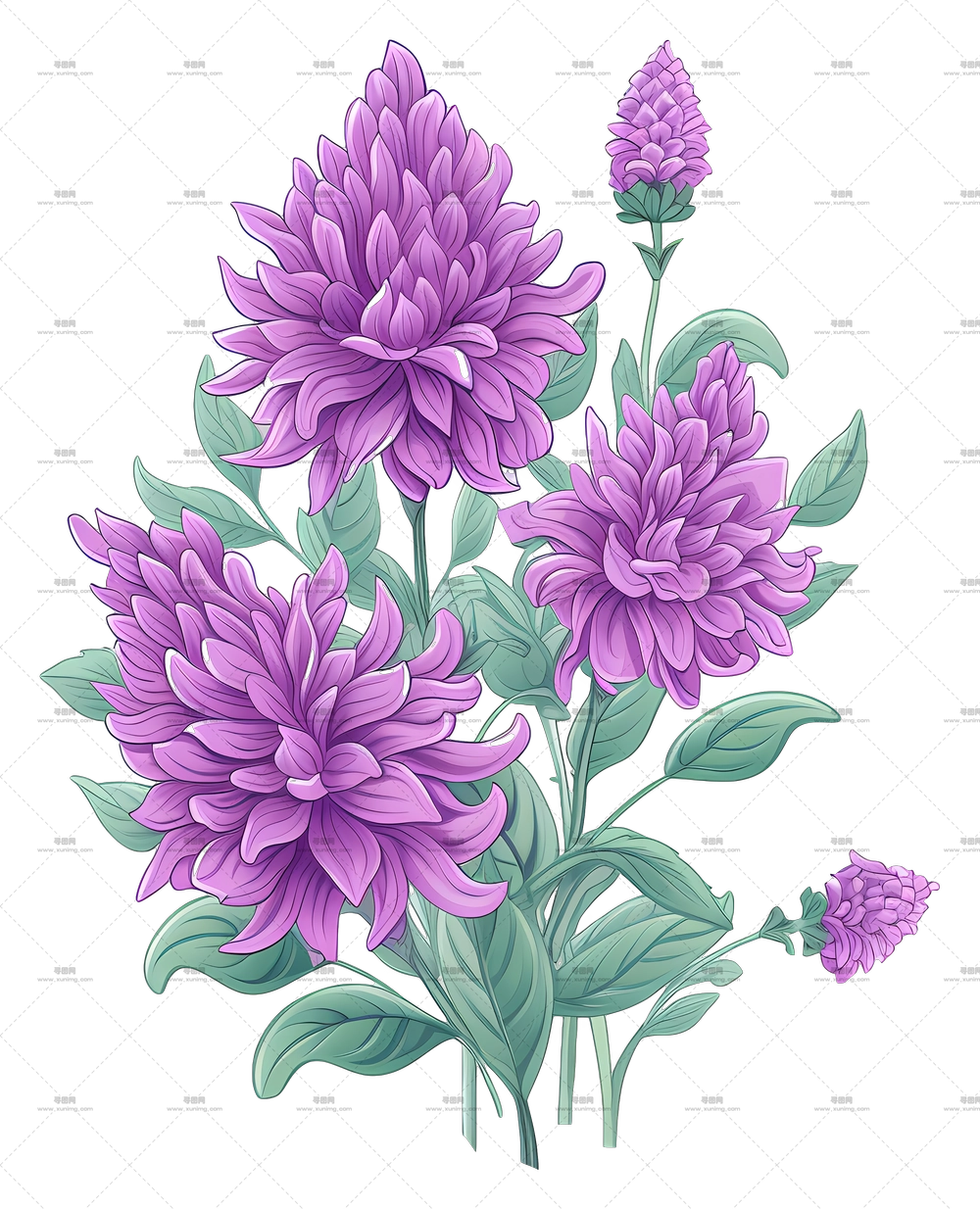 美丽的紫色菊花盛开PNG免抠图预览图 美丽的紫色菊花盛开PNG免抠图预览图