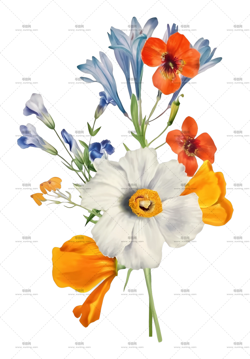 多彩花卉花束PNG免抠图预览图 多彩花卉花束PNG免抠图预览图