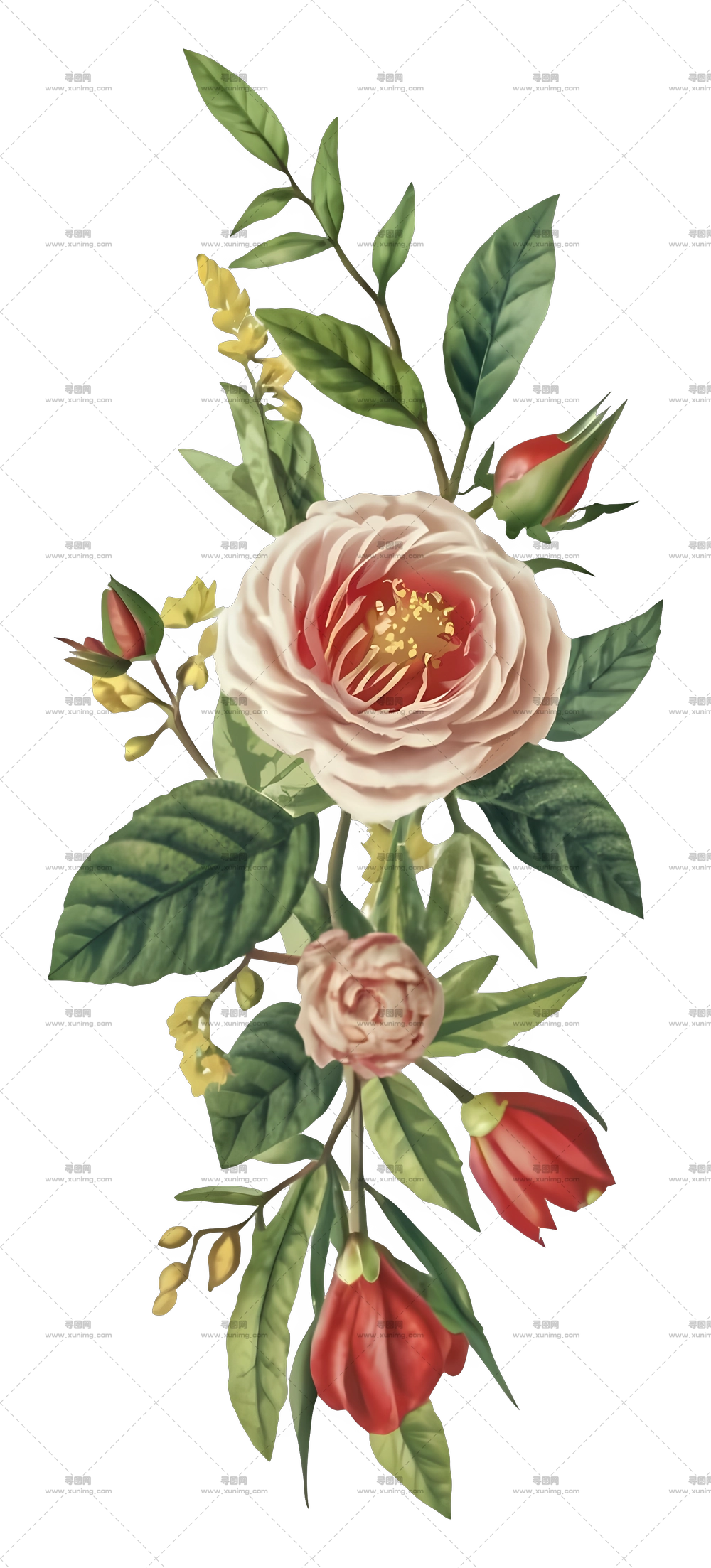 精美的花艺布置PNG免抠图预览图