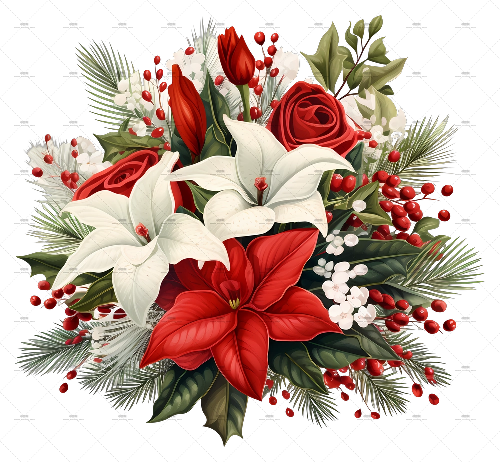 节日圣诞红白花卉花束PNG免抠图预览图