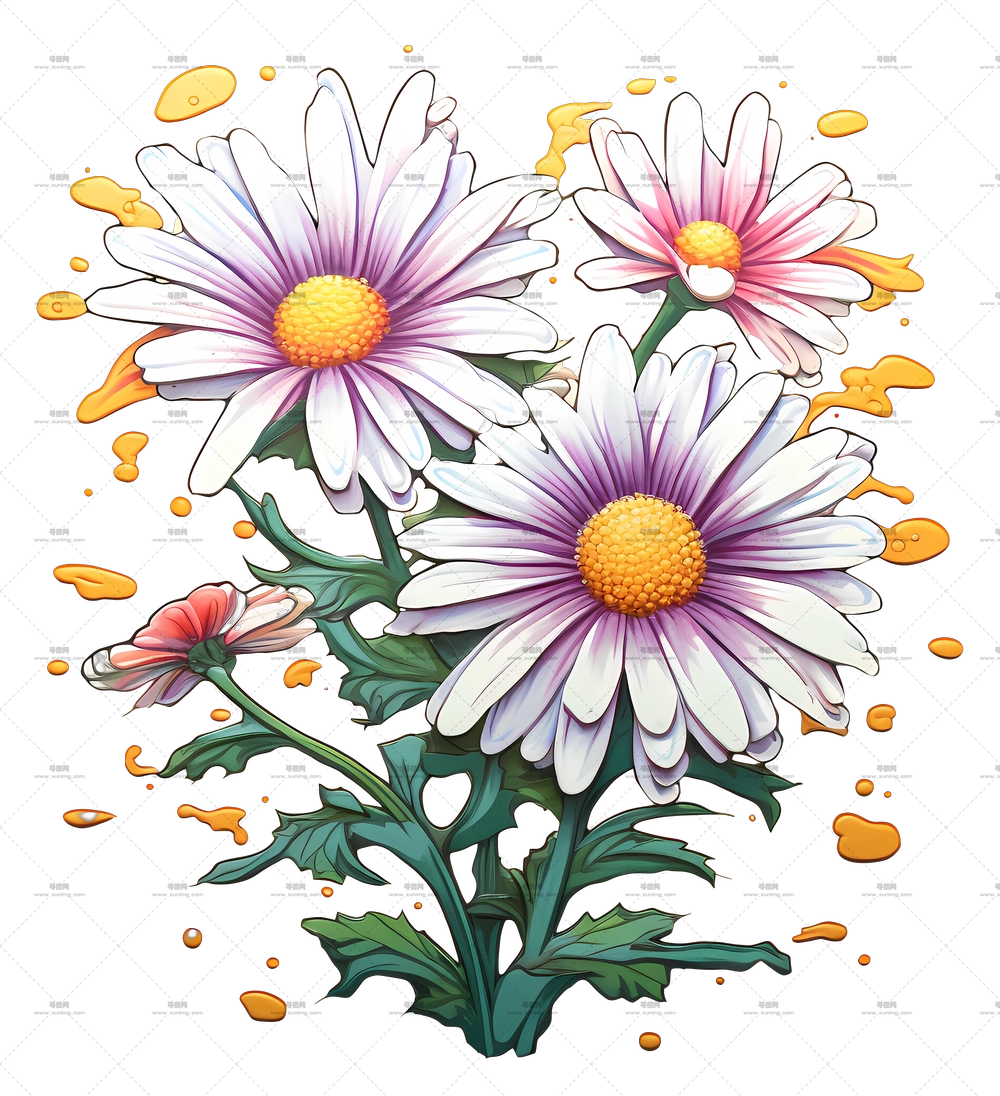 盛开的美丽雏菊PNG免抠图预览图