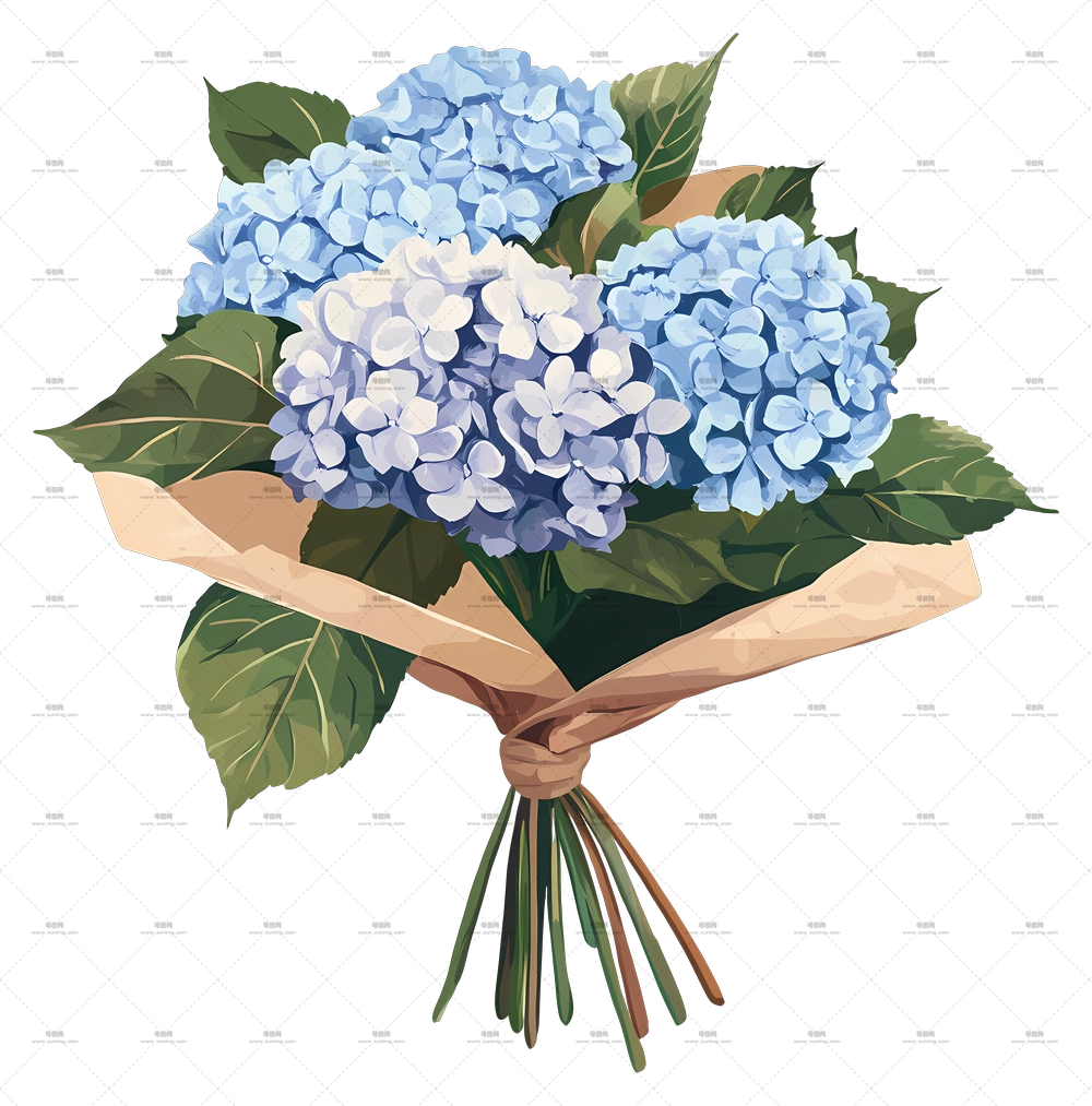 绣球花束 – 美丽的绣球花束PNG免抠图预览图