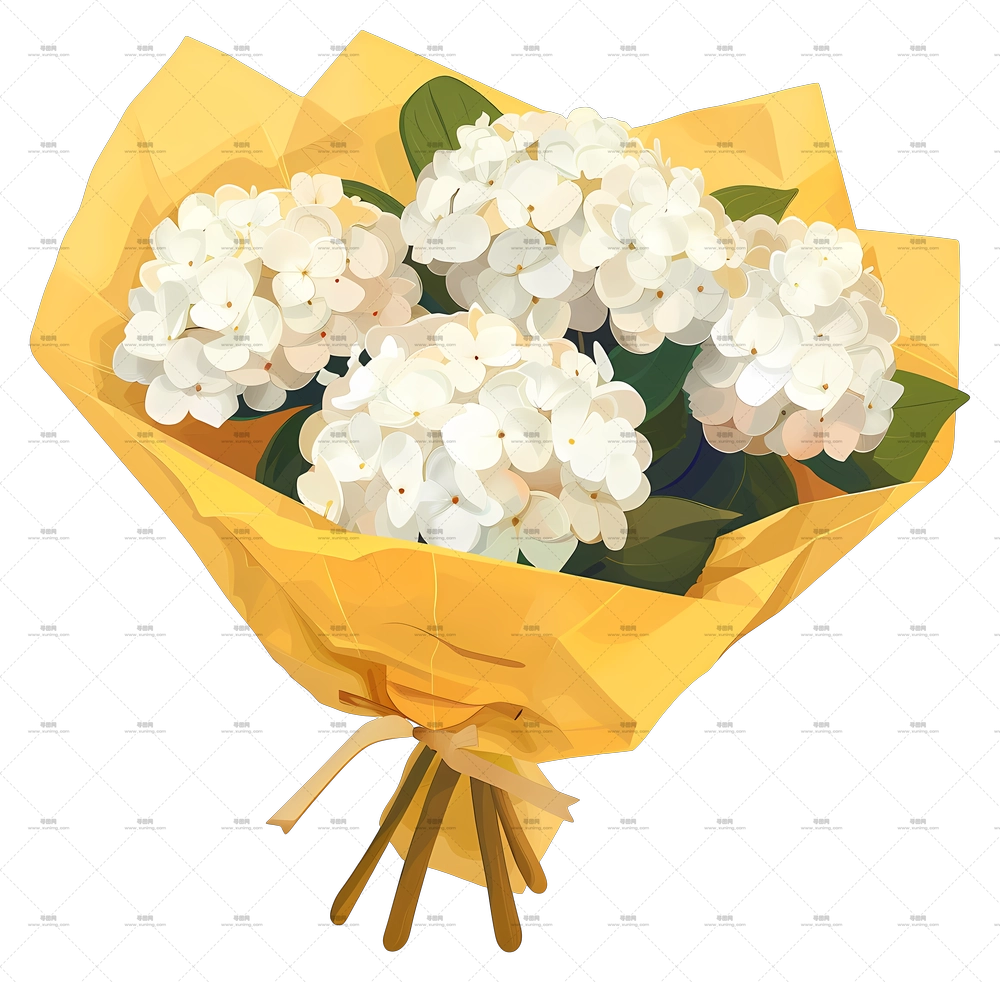 白绣球花 – 花束插画PNG免抠图预览图