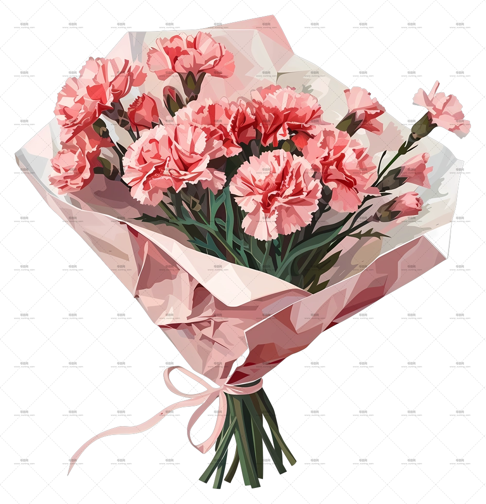 康乃馨花束 – 粉色康乃馨花束PNG免抠图预览图