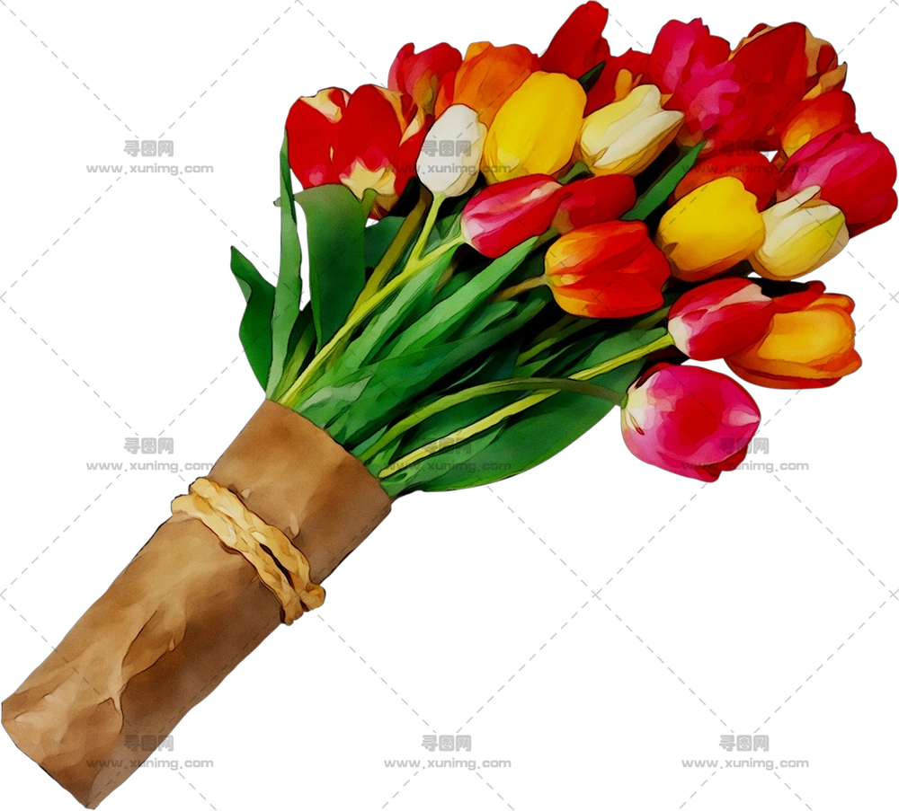 多彩郁金香花束PNG免抠图预览图