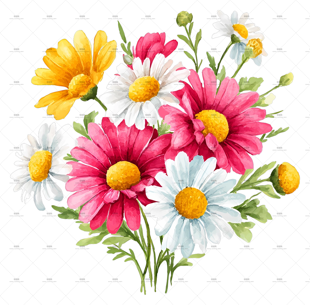 雏菊花束 – 多彩雏菊花束PNG免抠图预览图
