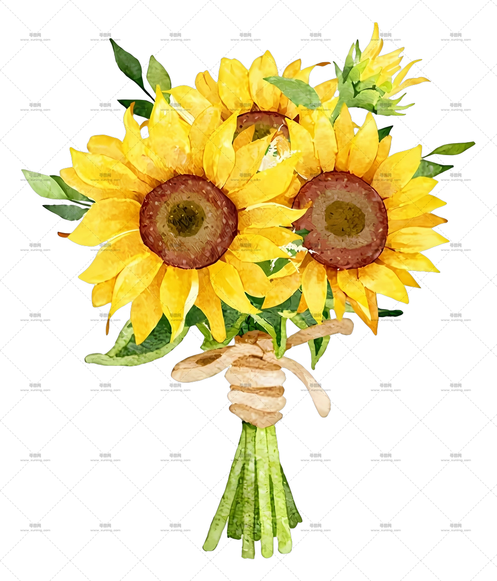 向日葵花束 – 带有橡子的向日葵花束PNG免抠图预览图