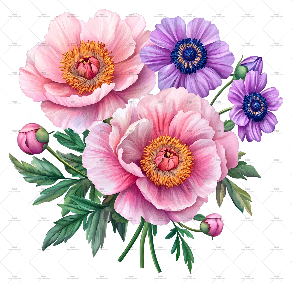 粉色花束 – 粉色和紫色花朵插画PNG免抠图预览图