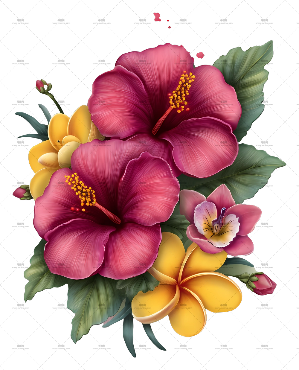 热带花束 – 木槿花艺PNG免抠图预览图