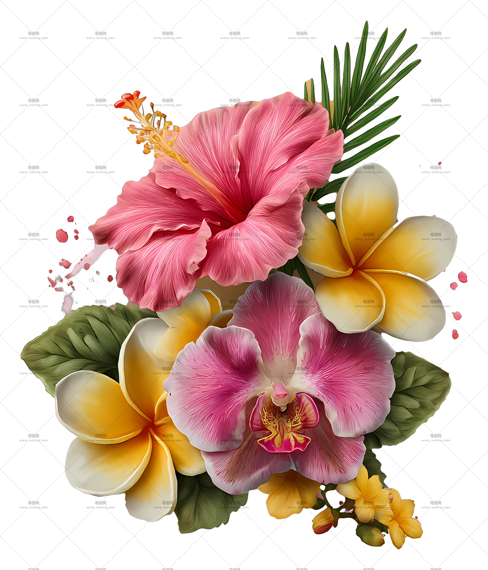 热带花束 – 热带花卉PNG免抠图预览图