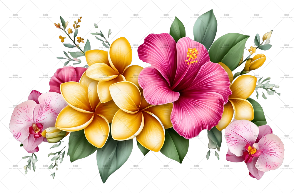 热带花束 – 多彩花艺PNG免抠图预览图