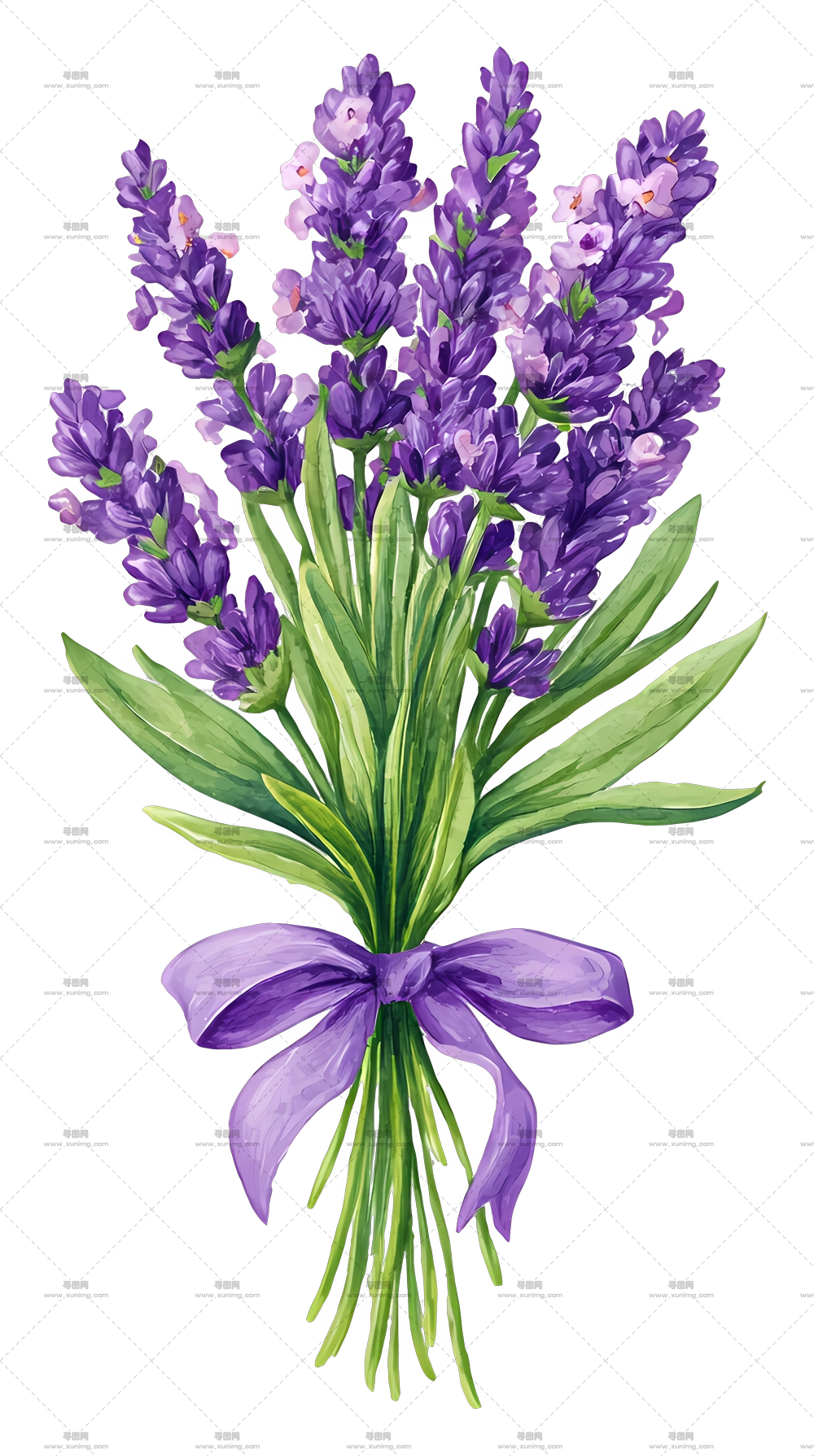 薰衣草花束 – 紫色丝带薰衣草花束PNG免抠图预览图